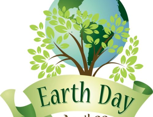 Earth Day 2024 Activities